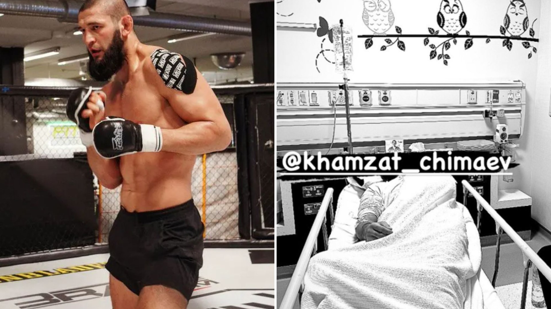 Khamzat Chimaev's Shocking Hospitalization Forces UFC Withdrawal
