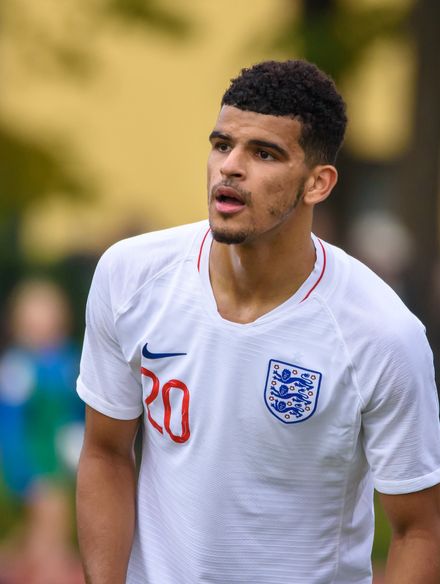 Dominic Solanke photo