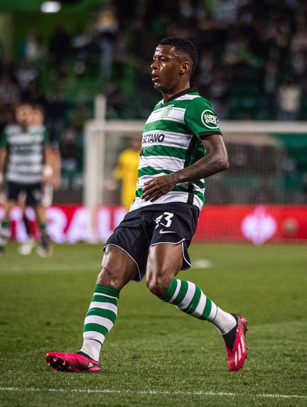 Arthur Gomes photo