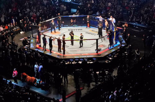 Ludovit Klein Aims to Upset Gamrot in UFC Fight Night Co-Main Event