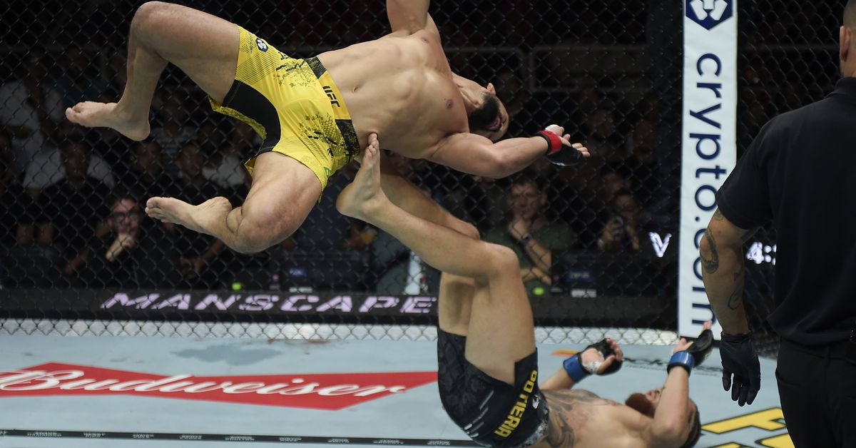 Спорный момент в UFC 301: Игорь Потеря просит пересмотреть результат боя с Мишелем Перейра