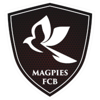 ФКБ Сороки logo