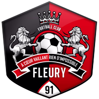 Флері 91 logo