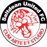 Солтдін logo