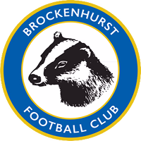 Брокенхерст logo