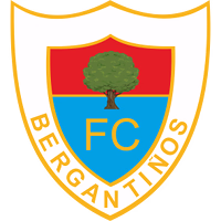 Bergantiños logo