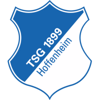 Хоффенхайм logo