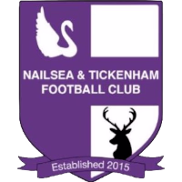 Nailsea logo