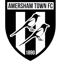 Амершем logo