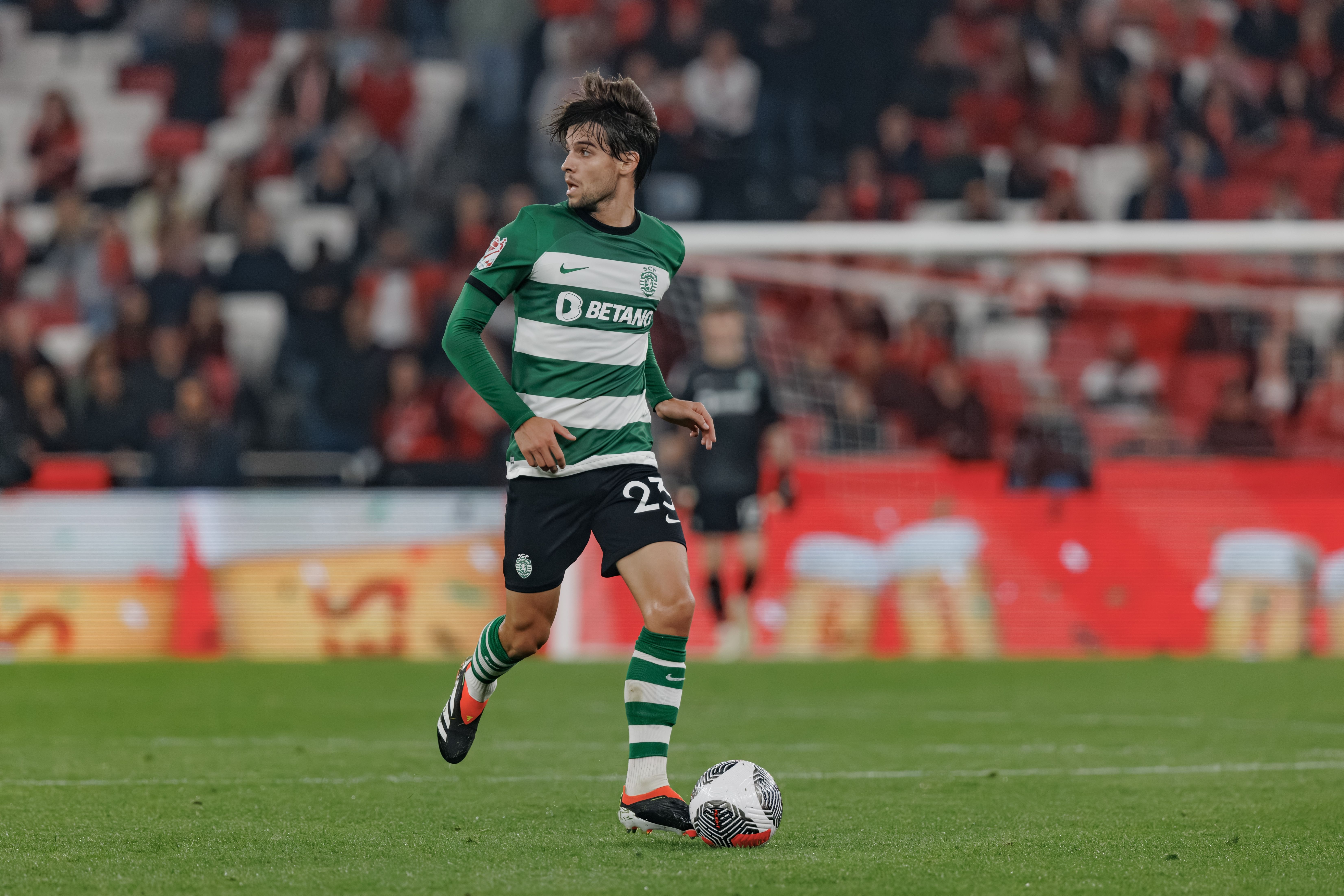 Daniel Bragança photo